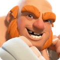 Boxer Giant